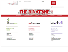 Tablet Screenshot of binatone.ru